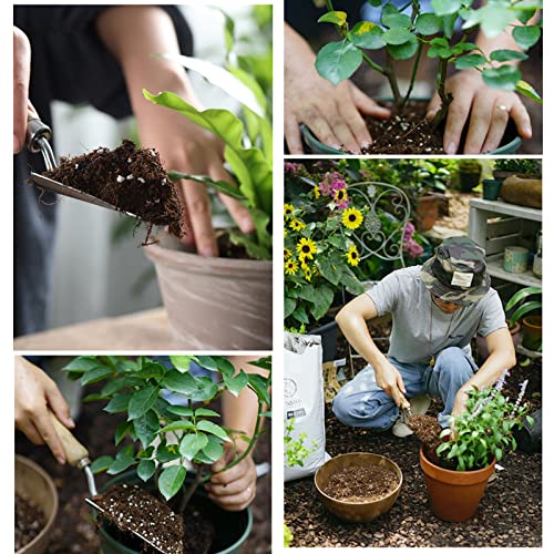 Doter Organic Potting Soil Mix 4qt for All Indoor & Outdoor Small Containers Including Herbs, Vegetables, and Flowers - size: 4qt