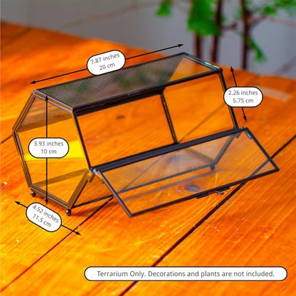 NCYP Small Glass Enclosure Terrarium with Mesh & Door for Tiny Beetle - Hexagon Jumping Spiders Vented Glass Terrarium 7.87'' x 4.52'' x 3.93'', Black (Plants Not Include) - size: 7.87'' x 4.52'' x 3.93''