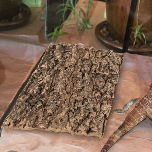 SHINEOFI 4pcs Reptile Bark Decor Wood,11. 8" X 7. 8" Cork Bark Background Natural Terrariums Background Cork Wood Habitat Tank Decoration for Bearded Dragon