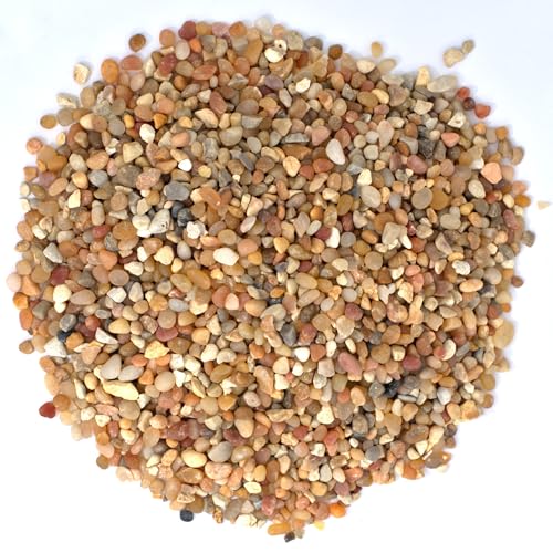 Succulent Planter Kit - Terrarium Kit with Succulent Soil, Gravel, Pebble, Moss,