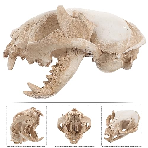 ABOOFAN Cat Skeleton Resin Model Fortune Cat Skull Figurine for Fish Tank Decoration Unique Handmade Aquarium Decor Safe for Fish for Collectibles and Teaching