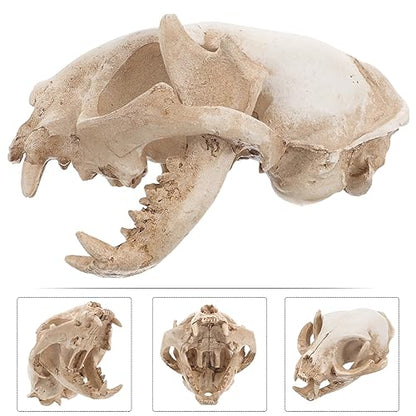 ABOOFAN Cat Skeleton Resin Model Fortune Cat Skull Figurine for Fish Tank Decoration Unique Handmade Aquarium Decor Safe for Fish for Collectibles and Teaching