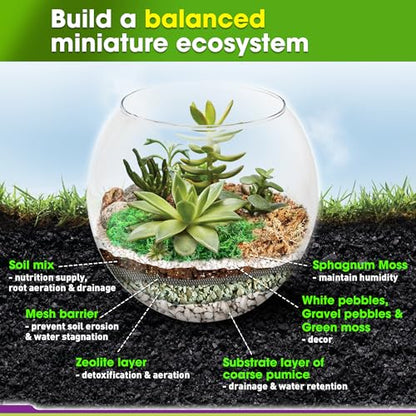 DUSPRO Terrarium Kit, Include Potting Soil, Pumice, Zeolite, Green Moss, Sphagnum Moss, Decorative Stone, Mesh, Tools, DIY Terrarium Kit for Kids, Air Plant, Succulent - size: Terrarium Kit