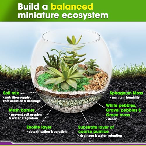 DUSPRO Terrarium Kit, Include Potting Soil, Pumice, Zeolite, Green Moss, Sphagnum Moss, Decorative Stone, Mesh, Tools, DIY Terrarium Kit for Kids, Air Plant, Succulent - size: Terrarium Kit