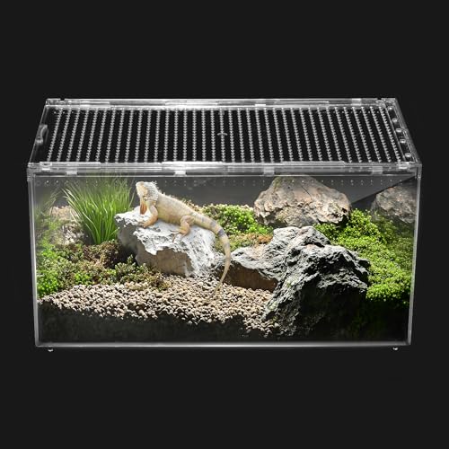 Reptile PC Terrarium,Tarantula Enclosure,Spider Tank Starter Kit,Leopard Gecko Container,Hermit Crab Habitat,Lizard Enclosure,Insect Housing,Jumping Spider Cage,Bearded Dragon Vivarium XL - size: XL(15.74x9.84x7.8 IN)