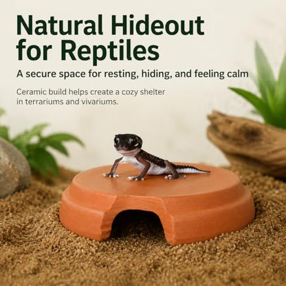 Terracotta Snake Hide, Reptile Hide Cave for Geckos Scorpions, Terrarium Decor Reddish Brown 100g, Small Reptile Hide (Diameter: - size: Small Reptile Hide (Diameter: