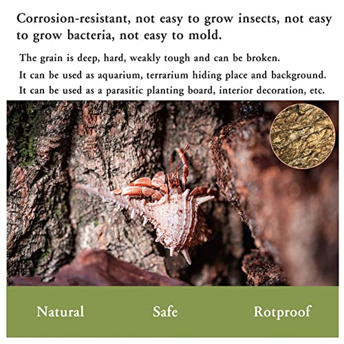 BNOSDM 2PCS Cork Bark Background,11.8" x 7.9" Natural Reptile Terrarium Backdrop, Lizard Climbing Wall Decor for Bearded Dragon Leopard Gecko Snake Chameleon