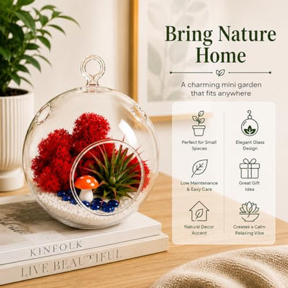 Creations by Nathalie - DIY Terrarium Kit with Live Air Plant (Local & Fresh from Florida), Reindeer Moss, Figurine, Healing Crystal Chips and Sand - Handmade in USA (4" Glass Globe) - color: 4" Glass Globe