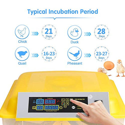 Egg Incubator 56 Eggs Fully Automatic Digital Incubators for Hatching Eggs Poultry Hatcher Machine with Temperature Humidity Control and Auto Turning for Hatching Chicken Duck Goose Quail Birds