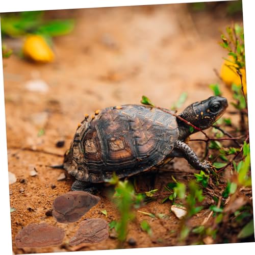 1bag Chameleon Substrate Reptile Tank Background Reptile Bark Bedding Decor Tree Bark Chips Terrarium Bedding Tank Accessories