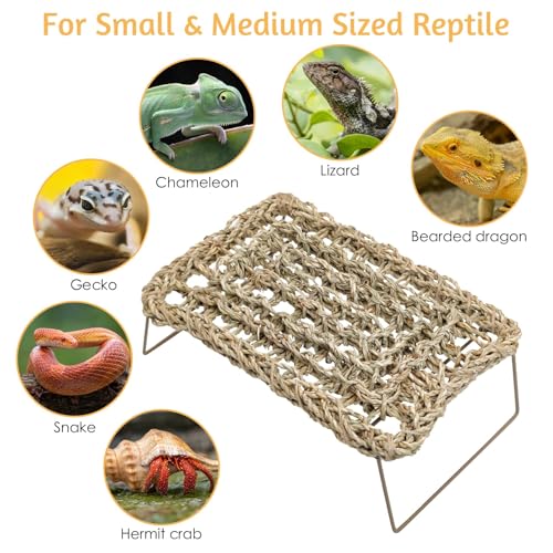 BNOSDM Reptile Cork Bark Substrate and Sea Grass Bed Mat for Lizard, Gecko