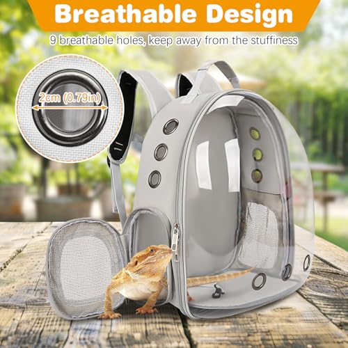 kathson Bearded Dragon Carrier with Harness and Leash Set, Large Reptile Travel Carrier Portable Lizard Backpack Clear Small Animals Carrying Bag for Gecko Hamster Rabbit Hedgehog Kitten (Black) - color: Black