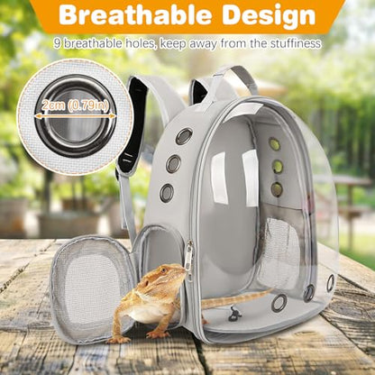 kathson Bearded Dragon Carrier with Harness and Leash Set, Large Reptile Travel Carrier Portable Lizard Backpack Clear Small Animals Carrying Bag for Gecko Hamster Rabbit Hedgehog Kitten (Black) - color: Black