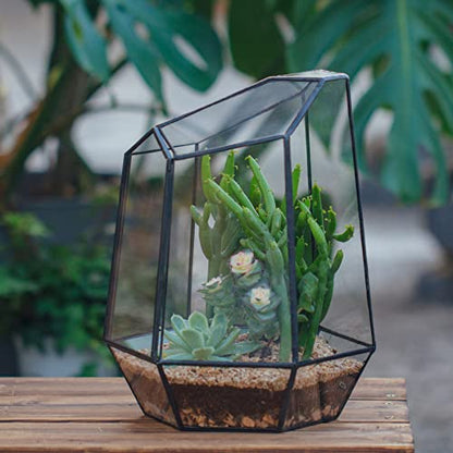 NCYP Close Geometric Glass Terrarium with Door - 9.8 inches Tall Irregular Planter for Succulents, Small Cacti, Modern Home Garden Tabletop Decor, Black, Handmade (Plants NOT Included) - size: 7.9x6.9x9.8inches
