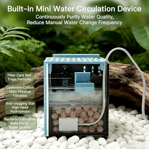Mini Reptile Glass Terrarium Set, Hermit Crab Saltwater Glass Tank,with Filter Tank, Detachable Design, for Hermit Crabs, Small Saltwater Pets
