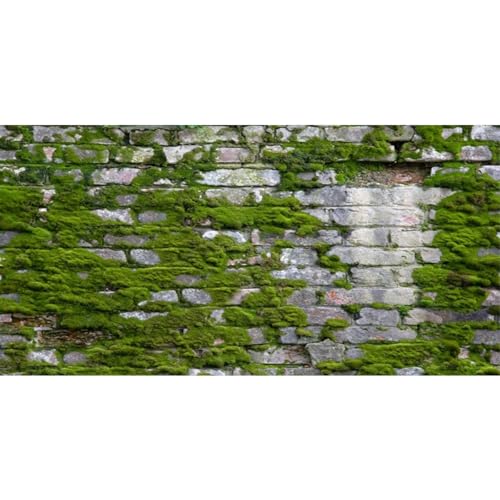 YongFoto Reptile Terrarium Background 36x18 inch Reptile Tank Background Brick Wall Green Moss Reptile Habitat Background Bearded Dragon Fish Tank Aquarium Background Backdrop - color: Gray-Green, size: 36x18in/90x45cm