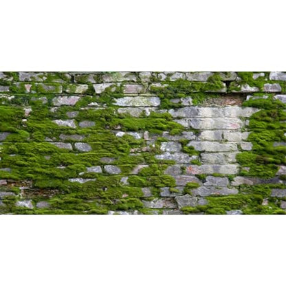 YongFoto Reptile Terrarium Background 24x16 inch Reptile Tank Background Brick Wall Green Moss Reptile Habitat Background Bearded Dragon Fish Tank Aquarium Background Backdrop - color: Gray-Green, size: 24x16in/60x40cm