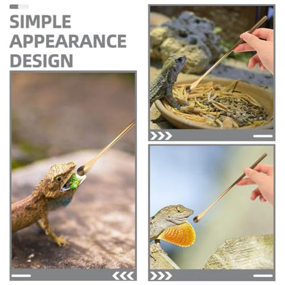 Housoutil 3pcs Reptile Feeding Spoon Handle Lizard Food Scoop for Bearded Dragons Geckos More Easy to Use for Pet Owners Gold - color: As Shown 3