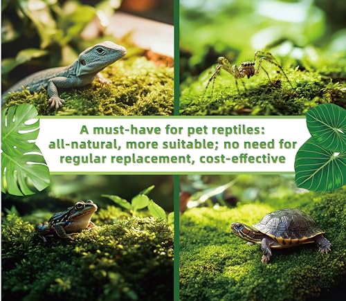 LUCKYRUNES Live Moss for Terrarium Bedding & Reptile Enclosures | Moisture-Holding Layer, Humid Hide Accent, Forest-Floor Look, Easy to Trim, For Frogs, Geckos, Turtles, Snakes