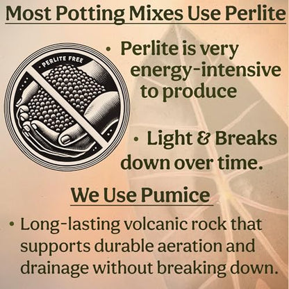 Craft Aroid Potting Mix- Elite Organic Alocasia, Philodendron, Monstera Soil Mix, Chunky, Well Draining Potting Soil for Indoor Plants, All Tropical Plants & Houseplants, Sustainable & Peat Free 1QT - size: 1 Quart