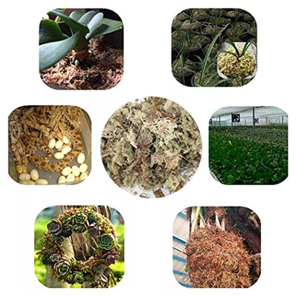Sphagnum Moss Dried Spagnum Dry Moss for Reptiles Bedding and Terrarium Pet Supplies 150gSphagnum Dried Dry for Reptiles Reptile Spagnum for Plants