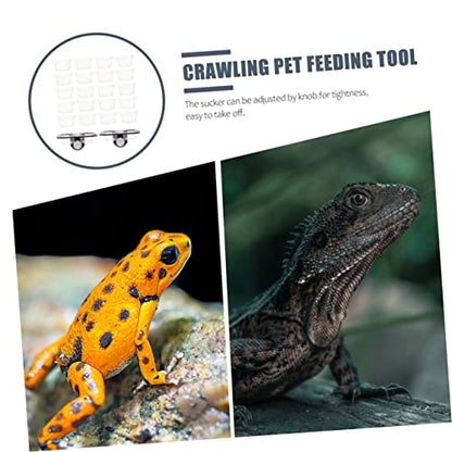 2-Pack Reptile Feeding Ledge with Suction Cup Gecko Water Feeder and Food Bowl for Reptile Tank Supplies Random Color Accessories