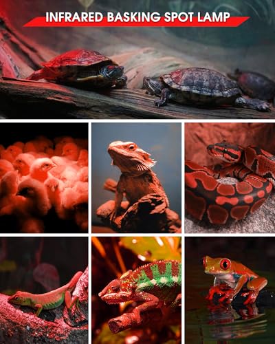 EvaStary 100W Infrared Heat Lamp Bulbs, 2 Pack Reptile Red Heat Lamp Bulb Infrared Basking Spot Light for Reptiles for Bearded Dragon, Turtle, Lizard, Snake, Chickens, Pets