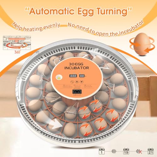 30 Egg Incubator with Automatic Egg Turning, Temperature Control and Humidity Monitor Incubators for Hatching Eggs, Chicken, Ducks, Goose, Pigeon, Quail, Parrot Incubator for Farm, Lab - size: 30-EGGS