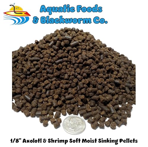 Axolotl Food, 1/8" Soft Moist Sinking Pellets, Rangen's Salmon Meal Pellets for Small Axolotl. Also Shrimp, Snails, Crabs, Bottom Fish, All Tropical Fish...11oz Small Jar