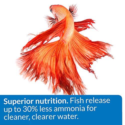 API Betta Food Fish Food Pellet .78-Ounce Container (Pack of 2) - size: 1 Ounce (Pack of 2)