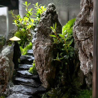 Natural Rocks Slate Stone 1-2.5 Inches Decorative Rocks for Miniature Landscaping,Fairy Gardens,Bonsai,DIY Crafts, Aquariums & Reptile Terrariums-2lb - size: 2lb(1-2.5Inch)