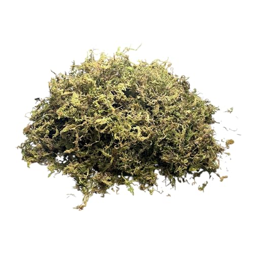 Sphagnum Moss Substrate for Reptiles & Terrariums (1)