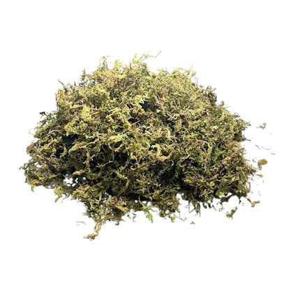 Sphagnum Moss Substrate for Reptiles & Terrariums (1)