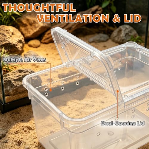 12 Pcs Mini Reptile Feeding Box, 3.6 x 2.1 x 1.9 inch Plastic Spider Terrarium Breeding Container with Ventilation Holes, Transparent Habitat Cage for Jumping Spider Tarantula Scorpion Gecko Insect