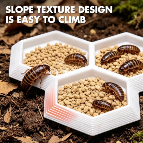Dubia Roach Large Feeder Bowl, 6 PCS Isopod Food Dish, 3 in 1 Colorful Feeding Water Dish for Live Roach, Isopod, Springtails & Dwarf Invertebrates - color: 6 PCS Dubia Feeding Dish