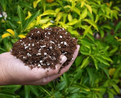 Happy Trees Coco Coir and Perlite Growing Medium, Potting Mix, Seed-Starting, Premium Quality Triple-Washed for Low Salt/EC, pH Balanced Loose Coconut Fiber, Peat-Free, 9 Quarts (10L) - size: 10L
