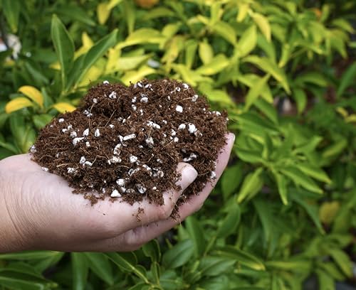 Happy Trees Coco Coir and Perlite 70/30 Growing Medium, Potting Mix, Seed-Starting, Premium Quality Triple-Washed for Low Salt/EC, pH Balanced Loose Coconut Fiber, Peat-Free, 50L (1.8 cu.ft.) - size: 50L