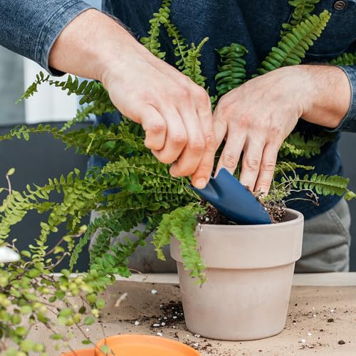 Doter Potting Soil Mix for Fern 1qt, Custom Hand Blended Mixture Suitable for Indoor/Outdoor Potted Fern Plant - size: 1qt