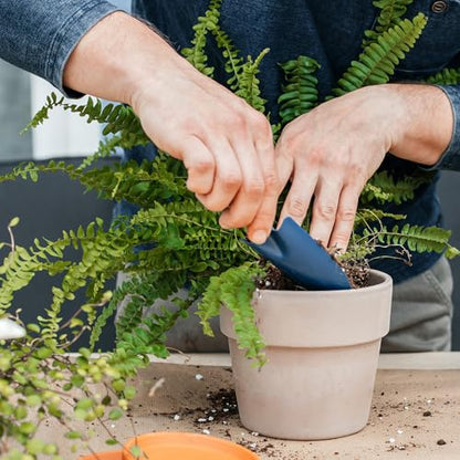 Doter Potting Soil Mix for Fern 1qt, Custom Hand Blended Mixture Suitable for Indoor/Outdoor Potted Fern Plant - size: 1qt