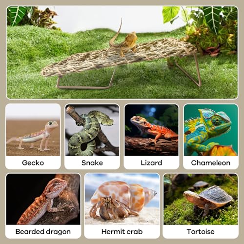 Bearded Dragon Hammock, 15.75''x7.28'' Large Reptile Tank Accessories with Collapsible Sturdy Metal Legs, Basking Platform Bed Habitat for Lizard Leopard Gecko Snake Turtle Hermit Crab and Frog