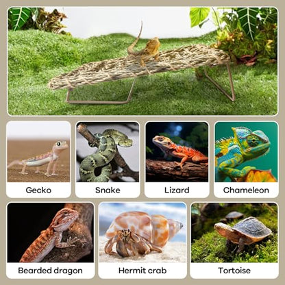 Bearded Dragon Hammock, 15.75''x7.28'' Large Reptile Tank Accessories with Collapsible Sturdy Metal Legs, Basking Platform Bed Habitat for Lizard Leopard Gecko Snake Turtle Hermit Crab and Frog