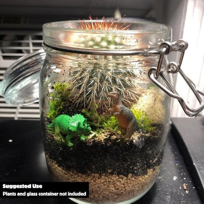 Cute Farms Terrarium Starter Kit | Moss, Vermiculite, Soil, Plant Food, Brush, Build and Care Guide | DIY Succulent Terrarium Kit for Adults and Kids - style: Terrarium Kit (No Glass)