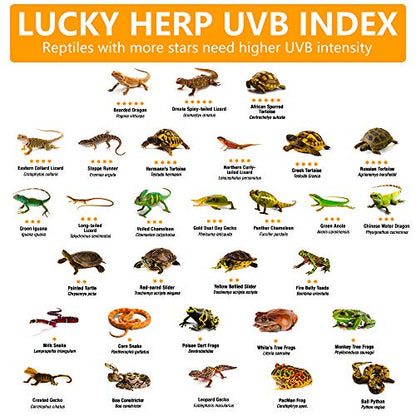 LUCKY HERP 160 Watt UVA+UVB Vapor Heat Lamp Bulb, High Intensity Self-Ballasted Heat Basking Lamp/Bulb/Light for Reptile and Amphibian, Sun Lamp for Bearded Dragon Lizard Turtle - size: 160
