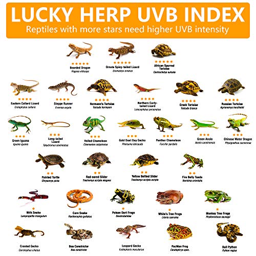 LUCKY HERP 160 Watt UVA+UVB Vapor Heat Lamp Bulb, High Intensity Self-Ballasted Heat Basking Lamp/Bulb/Light for Reptile and Amphibian, Sun Lamp for Bearded Dragon Lizard Turtle - size: 160