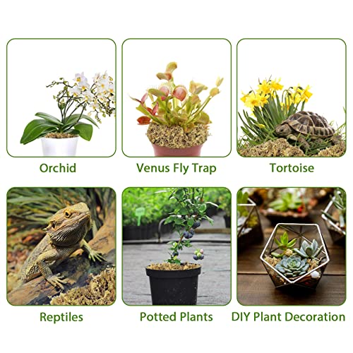 1.3LBS Premium Sphagnum Moss Orchid Potting Mix, 25QT Natural Peat Moss for Plants, Long Fiber Plant Growing Medium for Orchid Repotting Carnivorous Succulents Gardening Plants & Reptiles