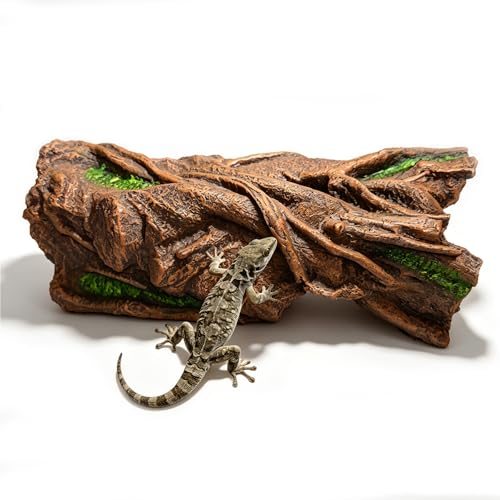 14in Reptile Hideout, Natural Terrarium Decor for Bearded Dragon, Leopard Gecko, Ball Python, Axolotl, Large Multi-Use Tank Accessories, Basking Platform & Stress-Relief Hide for Reptiles & Amphibians - size: L-1