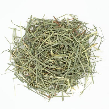 Oxbow Orchard Grass Hay for Small Pets – All-Natural Long Strand Fiber Hay for Rabbits, Guinea Pigs, Chinchillas, and Hamsters – Supports Digestive Health and Enrichment – 40 oz Bag - size: 40 Ounce (Pack of 1)