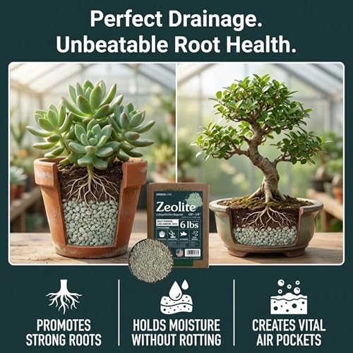 Zeolite Regular 6 lbs, Clinoptilolite 1/8"–1/4" (3–6 mm), Soil Amendment for Succulents, Bonsai & Plants, Improves Drainage and Moisture Balance, Decorative and Aquarium Use - style: Regular - 6 lbs