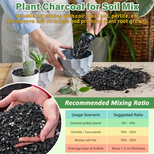 Legigo 4QT All Natural Horticultural Charcoal- Activated Hardwood Plant Charcoal for Soil Amendment, Conditioning Bonsai Soil, Succulent, Terrarium Supplies, Indoor Plant Potting Soil - color: 4 QT