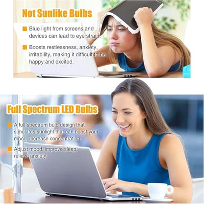 Full Spectrum Light Bulb, 6000K Natural Sunlight Bulbs, 9W 60W Equivalent LED Light Bulb, Natural Light Bulbs A19, E26/E27 LED Light Bulbs for Home, 6 Pack - color: 6000k Daylight, size: 6 Count (Pack of 1)